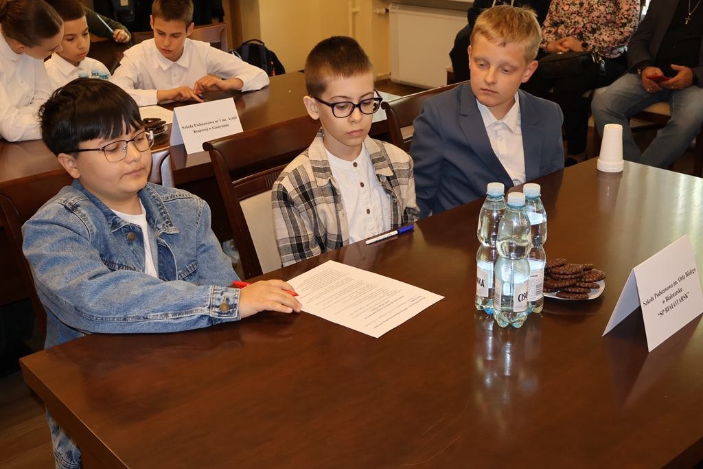 IMG 3602 Copy